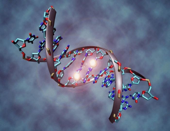 Грегг Брейден - Молекула ДНК может исцелиться при помощи «ЧУВСТВ» человека.