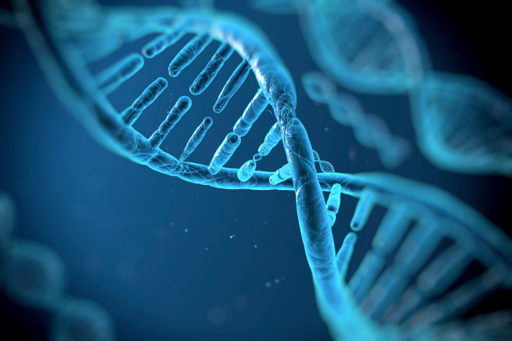 В ДНК человека скрыта закодированная информация