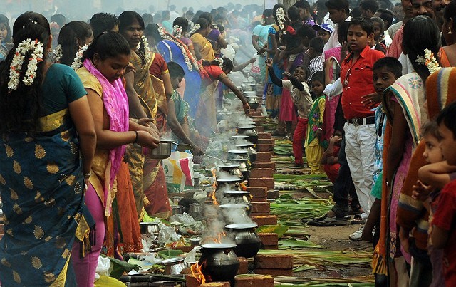 Индия считается самой вегетарианской страной мира. Почему?