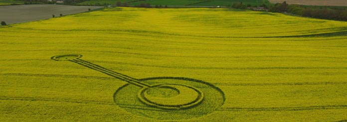 В английском графстве Уилтшир обнаружен рисунок на поле.