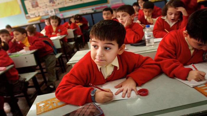 В Турции решили убрать теорию эволюции и естественного отбора из школьной программы.