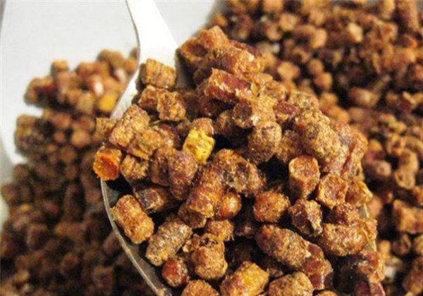 Как лечиться пчелиной пергой: полный список её полезных свойств