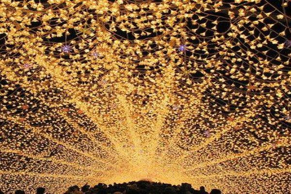 Иллюзии закончились. Старое сворачивается. Счета закрыты