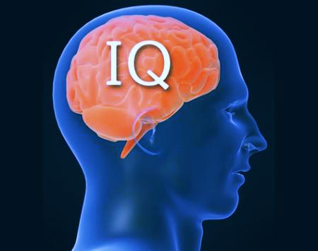 Последние сто лет у людей растет IQ