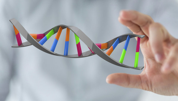 Генетики обнаружили необычную "пятую букву" ДНК в геноме мышей