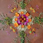 5 идей для бизнеса в сфере продажи трав, которые можно начать с одного растения