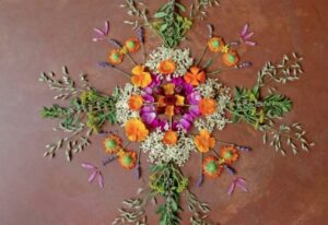 5 идей для бизнеса в сфере продажи трав, которые можно начать с одного растения