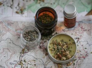 5 трав для здоровья пищеварительной системы во время путешествий за границу