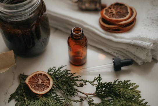 Руководство травника по зимним каникулам